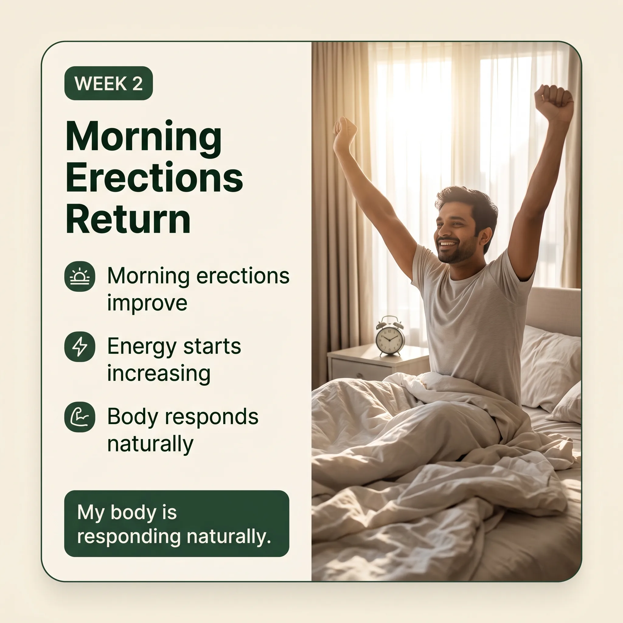 Week 2: Morning Erections Return